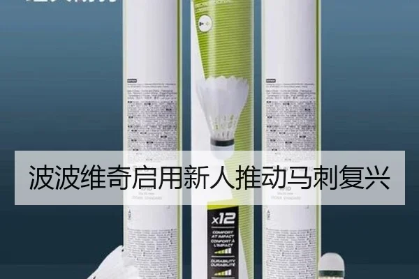 波波维奇启用新人推动马刺复兴
